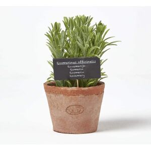 Homescapes Artificial Rosemary Plant in Decorative Pot - Artificial Herb - Realistic Homescapes Artificial Rosemary Plant in Decorative Pot - Artificial Herb - Realistic