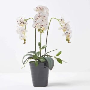 Homescapes White Orchid 56 cm Phalaenopsis in Ceramic Pot - Artificial Orchid Homescapes White Orchid 56 cm Phalaenopsis in Ceramic Pot - Artificial Orchid