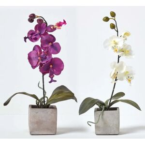 Homescapes Set of 2 Cerise Pink & White Artificial Orchids - Artificial Orchid Plants Homescapes Set of 2 Cerise Pink & White Artificial Orchids - Artificial Orchid Plants