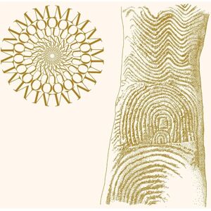 Goodfellas Moundabout Flowers Rot Bring Stones Vinyl LP Goodfellas Moundabout Flowers Rot Bring Stones Vinyl LP