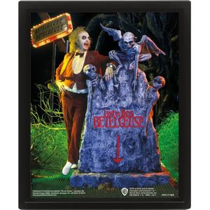 Pyramid International Beetlejuice Graveyard 3D Poster - Wallscroll, Framed 25x20cm Pyramid International Beetlejuice Graveyard 3D Poster - Wallscroll, Framed 25x20cm