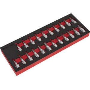 Loops - 22pc TRX Star/Hex/Spline Bit Set - 3/8in Sq Drive - Bit Set Loops - 22pc TRX Star/Hex/Spline Bit Set - 3/8in Sq Drive - Bit Set