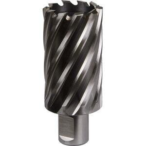 Loops - Rotabor Cutter - 36x50mm depth - 19mm shank - Cutter Loops - Rotabor Cutter - 36x50mm depth - 19mm shank - Cutter