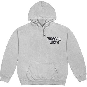 Unisex hoodie Beastie Boys - Check Your Head - Hoddies Unisex hoodie Beastie Boys - Check Your Head - Hoddies