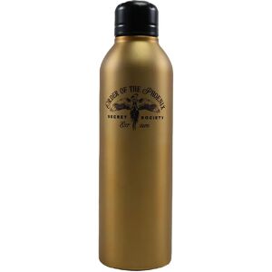 Harry Potter Steel Water Bottle Black - Water Bottle Harry Potter Steel Water Bottle Black - Water Bottle