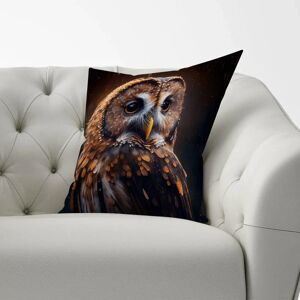 WRT Ltd - Tawny Owl Face Splashart - Dark Background WRT Ltd - Tawny Owl Face Splashart - Dark Background