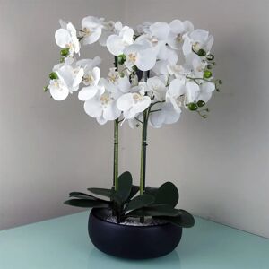 Botanik 60cm White Orchid - Black Ceramic Planter Botanik 60cm White Orchid - Black Ceramic Planter