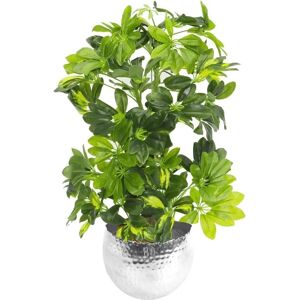 Brand Model - Green Gold Capella Artificial Plant - Artificial Plant Brand Model - Green Gold Capella Artificial Plant - Artificial Plant