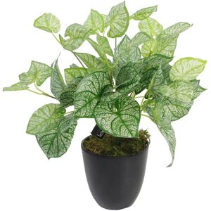 Green Artificial Caladium Plant - 40cm in Pot Green Artificial Caladium Plant - 40cm in Pot