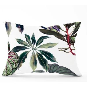 WRT Ltd - Watercolor Tropical Leaf Cushions - Cushion WRT Ltd - Watercolor Tropical Leaf Cushions - Cushion