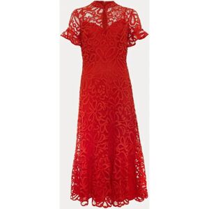 Phase Eight Lula Spitzenkleid - Kleid Phase Eight Lula Spitzenkleid - Kleid
