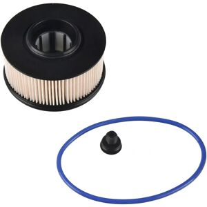 Blue Print Filtro Carburante ADBP230022 - Filtro per Hyundai Santa Fe, Kia Sorento Blue Print Filtro Carburante ADBP230022 - Filtro per Hyundai Santa Fe, Kia Sorento