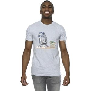 Absolute Cult Star Wars R2D2 Grogu Męska The Mandalorian Szara Koszulka Absolute Cult Star Wars R2D2 Grogu Męska The Mandalorian Szara Koszulka