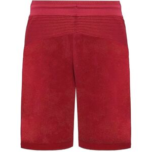 Gymshark GMSH4418 Burgundy Red Shorts - Performance Gymshark GMSH4418 Burgundy Red Shorts - Performance