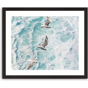 Brookpace - Gannets 1 - Blue - 56x66cm - Framed Print Brookpace - Gannets 1 - Blue - 56x66cm - Framed Print