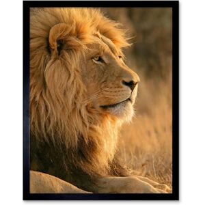 Artery8 - African Lion Portrait - Art Print - 12x16 in Artery8 - African Lion Portrait - Art Print - 12x16 in