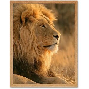 Artery8 - African Lion Portrait - 12x16 - Art Print Artery8 - African Lion Portrait - 12x16 - Art Print