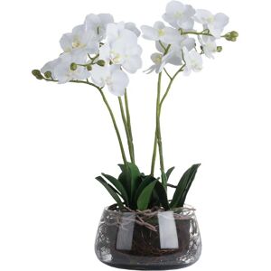 Hill Interiors Orchid Uthi3421 - Artificial Plant Hill Interiors Orchid Uthi3421 - Artificial Plant