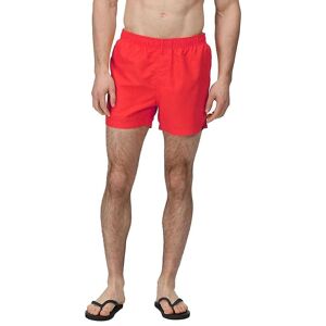 Regatta Wayde XL Simshorts - Snabbtorkande, Återvunnet tyg Regatta Wayde XL Simshorts - Snabbtorkande, Återvunnet tyg