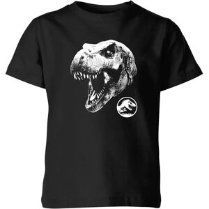 Jurassic Park T Rex Kids' Black T-Shirt Jurassic Park T Rex Kids' Black T-Shirt