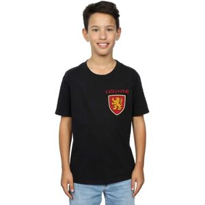 Absolute Cult Harry Potter Gryffindor Lion T-Shirt - Youth Absolute Cult Harry Potter Gryffindor Lion T-Shirt - Youth