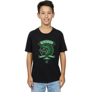 Harry Potter Slytherin Black T-Shirt - Adult Harry Potter Slytherin Black T-Shirt - Adult