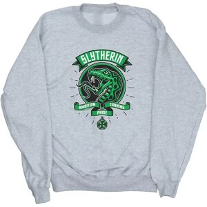 Absolute Cult Harry Potter Slytherin Toon Crest Sweatshirt - Sweatshirt Absolute Cult Harry Potter Slytherin Toon Crest Sweatshirt - Sweatshirt