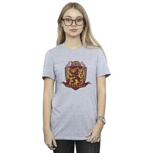 Brand Model - Relaxed Fit T-Shirt - Harry Potter Brand Model - Relaxed Fit T-Shirt - Harry Potter