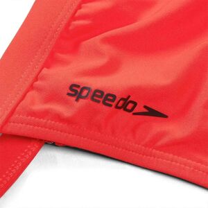 Speedo Watermelon Bikini Top - Swimsuit Top Speedo Watermelon Bikini Top - Swimsuit Top
