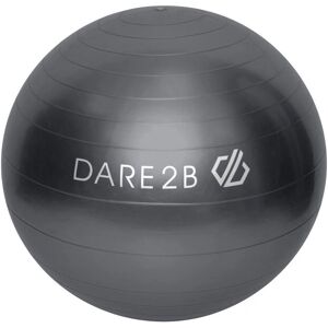 Dare 2b Ballon d'exercice unisexe - Gris ébène - 55cm - Ballon d'exercice Dare 2b Ballon d'exercice unisexe - Gris ébène - 55cm - Ballon d'exercice