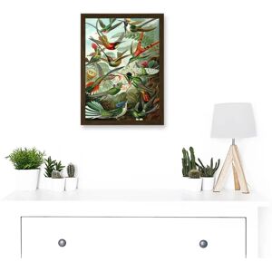 Artery8 - Ernst Haeckel Nature Art - Wall Art Print Artery8 - Ernst Haeckel Nature Art - Wall Art Print