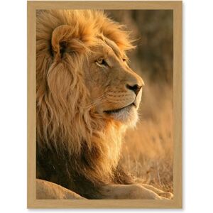 Artery8 - Big African Lion - A4 - Wall Art Print Artery8 - Big African Lion - A4 - Wall Art Print