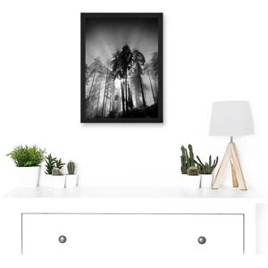 Artery8 - Trees Light Fog - Black White - Wall Art Print Artery8 - Trees Light Fog - Black White - Wall Art Print