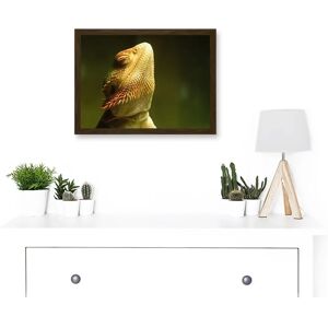 Artery8 - Bearded Dragon Reptile Sunbathing A4 - brown - framed - Artwork Artery8 - Bearded Dragon Reptile Sunbathing A4 - brown - framed - Artwork