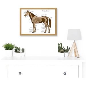 Artery8 - Horse Anatomy Diagram - A4 - Framed - Artwork Artery8 - Horse Anatomy Diagram - A4 - Framed - Artwork