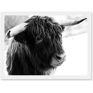 Artery8 Highland Cow Bull Horns A4 Framed Wall Art Print Artery8 Highland Cow Bull Horns A4 Framed Wall Art Print
