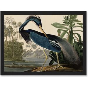 Artery8 - Audubon Birds Louisiana Blue Heron - A4 Artwork Artery8 - Audubon Birds Louisiana Blue Heron - A4 Artwork