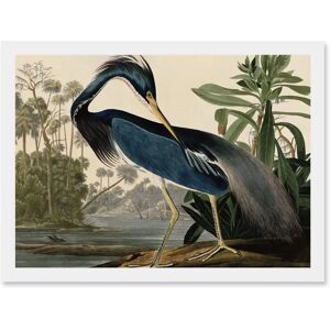 Artery8 - Audubon Birds Louisiana Blue Heron - A4 Artery8 - Audubon Birds Louisiana Blue Heron - A4