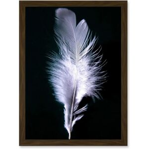 Artery8 - Single Feather Bird A4 - Black White - Wall Art Print Artery8 - Single Feather Bird A4 - Black White - Wall Art Print
