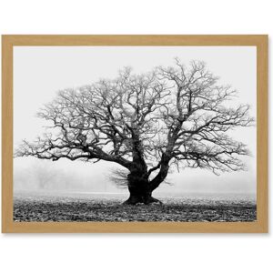 Artery8 - Old Oak Tree - Black - White - Framed Wall Art Artery8 - Old Oak Tree - Black - White - Framed Wall Art
