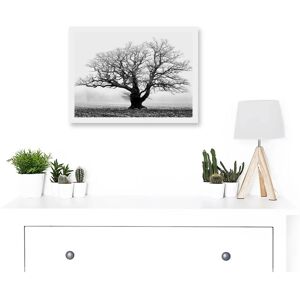 Artery8 - Old Oak Tree - Black White - Wall Art Print Artery8 - Old Oak Tree - Black White - Wall Art Print
