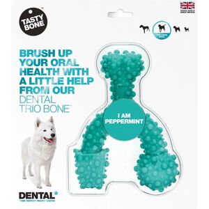 TastyBone Nylon Dental Bone for Large Dogs - Peppermint TastyBone Nylon Dental Bone for Large Dogs - Peppermint