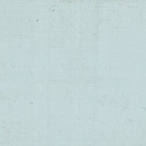 Protek Royal Exterior Paint - Ice Blue - Exterior Paint Protek Royal Exterior Paint - Ice Blue - Exterior Paint