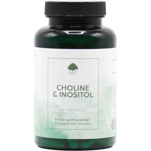 G&G Vitamins Choline & Inositol 120 Capsules - Supplement G&G Vitamins Choline & Inositol 120 Capsules - Supplement