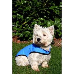 Prestige Pet Products - Blue - Size S - Cooling Dog Coat Prestige Pet Products - Blue - Size S - Cooling Dog Coat
