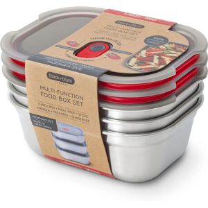 Black+Blum Stainless Steel Lunch Box Set - 900ml Black+Blum Stainless Steel Lunch Box Set - 900ml