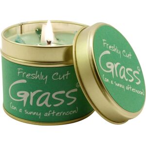 Lily-Flame Freshly Cut Grass Tin Scented Candle - Scented Candle Lily-Flame Freshly Cut Grass Tin Scented Candle - Scented Candle