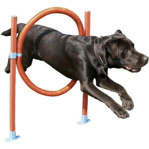 Rosewood Agility Hoop Jump - Équipement d'agilité pour chiens - Publicité Rosewood Agility Hoop Jump - Équipement d'agilité pour chiens - Publicité