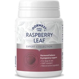 Dorwest Herbs Raspberry Leaf Tablets - Supports pregnancy in animals Dorwest Herbs Raspberry Leaf Tablets - Supports pregnancy in animals