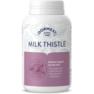 Dorwest Herbs Dorwest Milk Thistle 500 Tablets - Supplements Dorwest Herbs Dorwest Milk Thistle 500 Tablets - Supplements